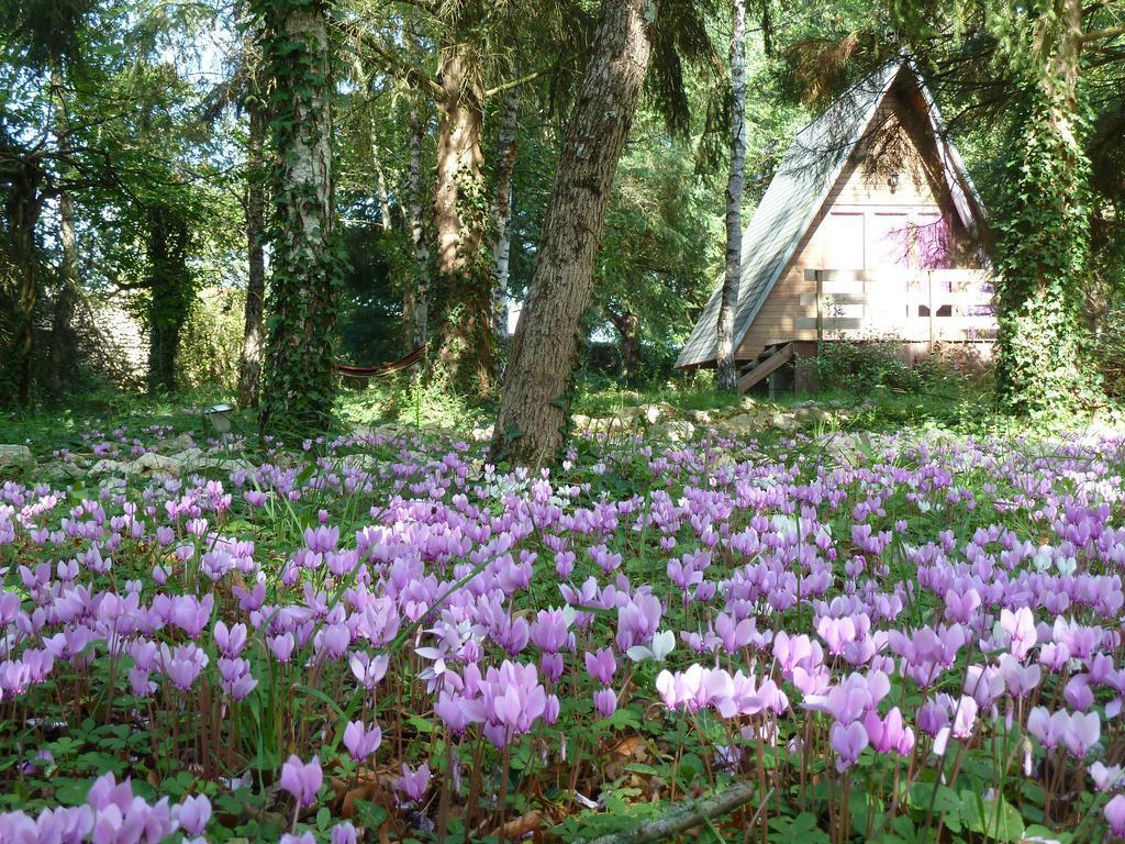 La Rossignolerie - Cabane Aux Oiseaux Chouzy-sur-Cisse Buitenkant foto