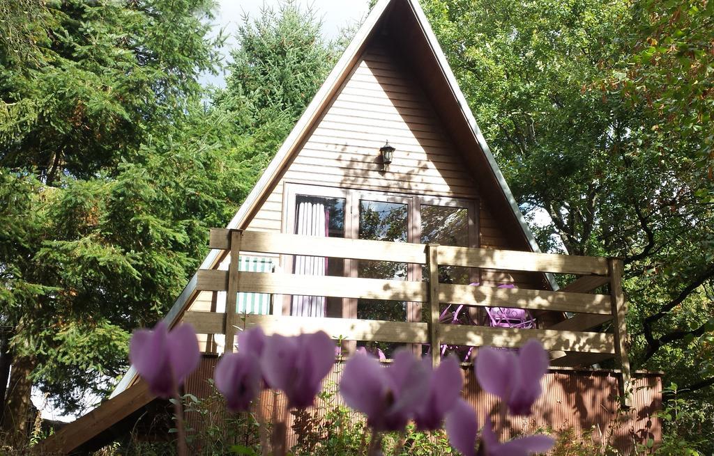 La Rossignolerie - Cabane Aux Oiseaux Chouzy-sur-Cisse Buitenkant foto